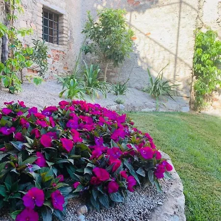 La Vigna *